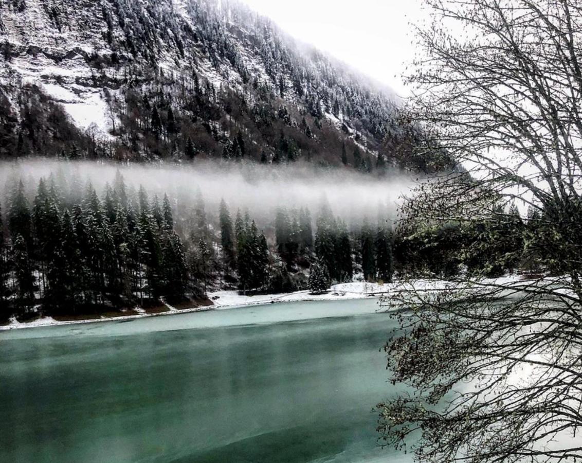Micro-Lodge, Le Petit Nid D'Amour Montriond Exteriér fotografie