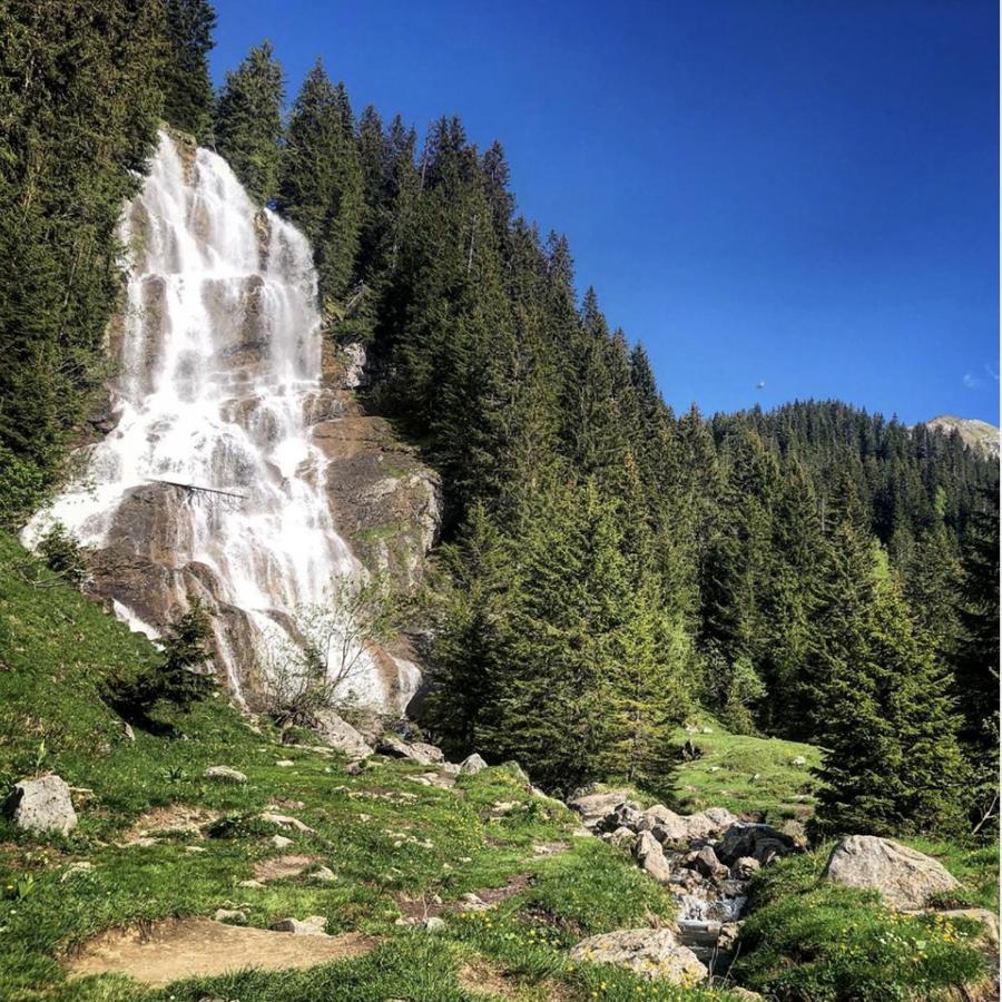 Micro-Lodge, Le Petit Nid D'Amour Montriond Exteriér fotografie