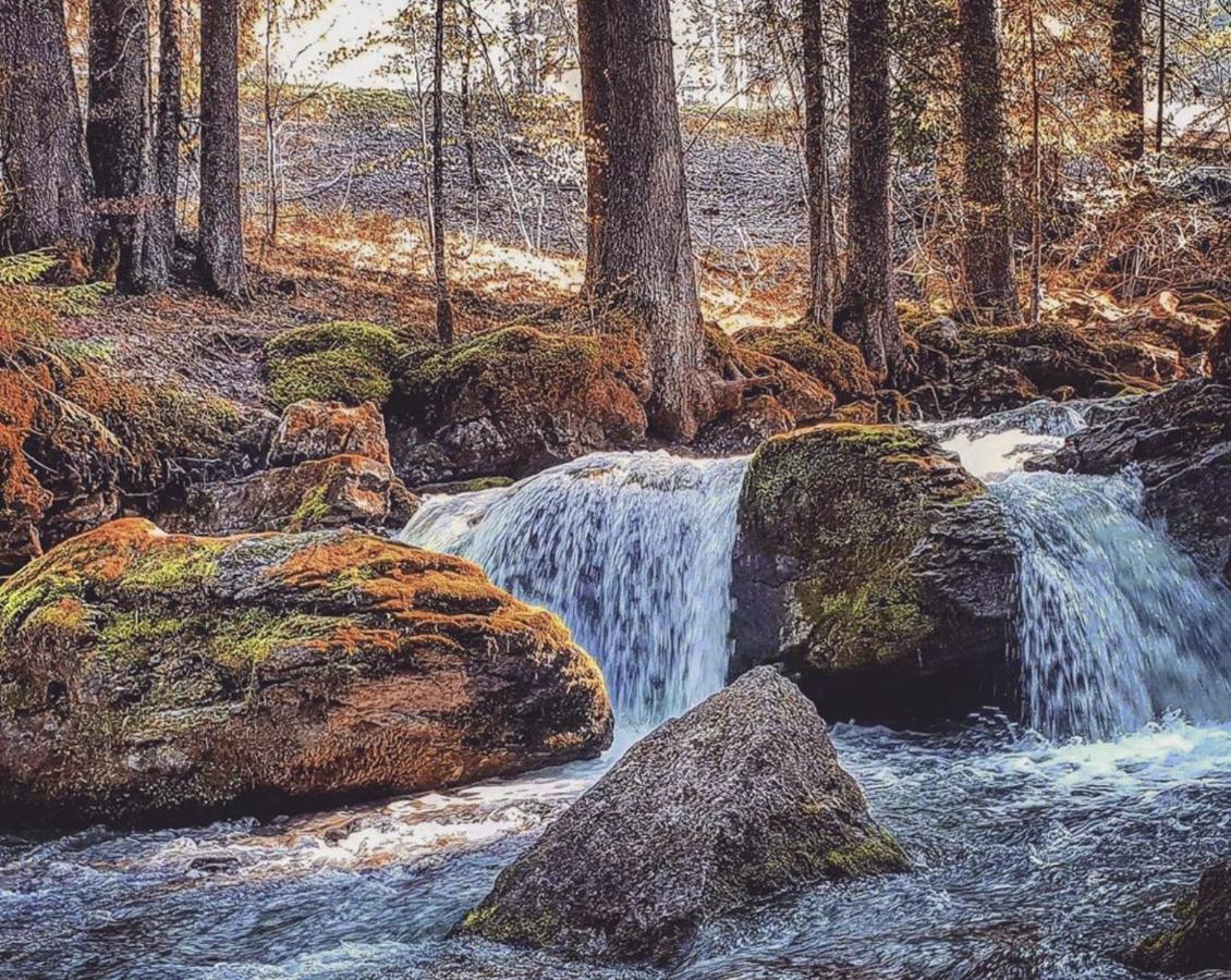 Micro-Lodge, Le Petit Nid D'Amour Montriond Exteriér fotografie