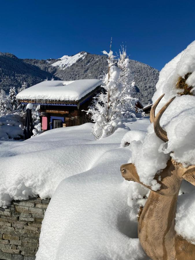 Micro-Lodge, Le Petit Nid D'Amour Montriond Exteriér fotografie