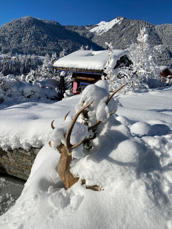 Micro-Lodge, Le Petit Nid D'Amour Montriond Exteriér fotografie