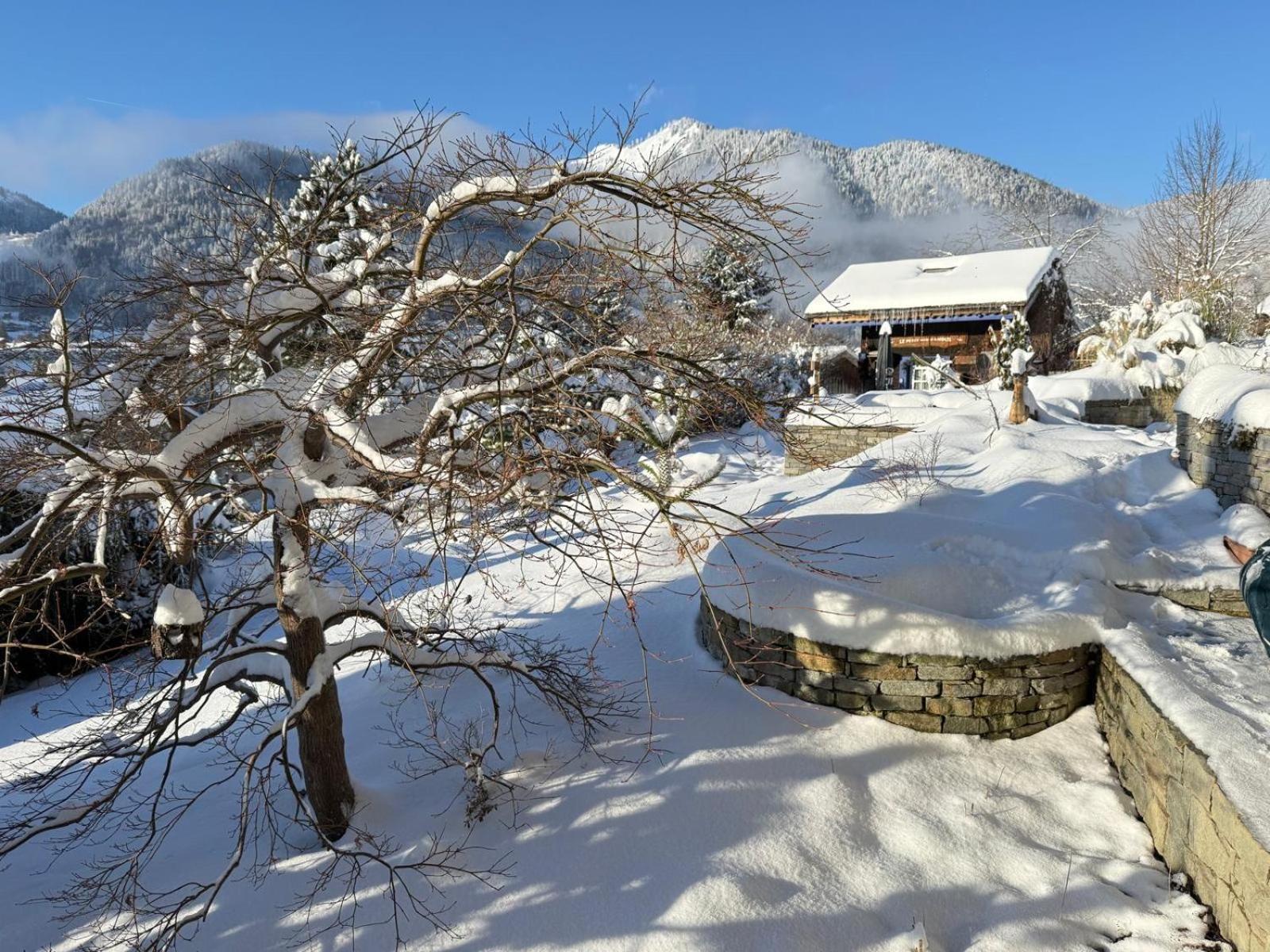 Micro-Lodge, Le Petit Nid D'Amour Montriond Exteriér fotografie