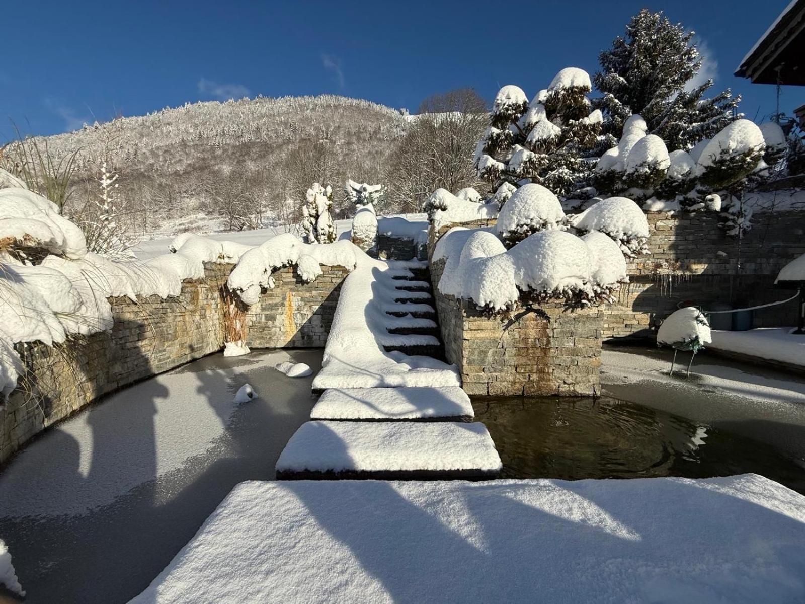 Micro-Lodge, Le Petit Nid D'Amour Montriond Exteriér fotografie