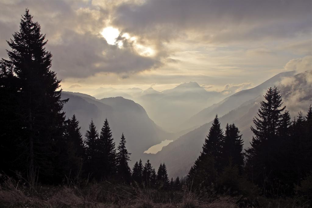 Micro-Lodge, Le Petit Nid D'Amour Montriond Pokoj fotografie